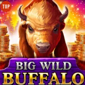 Big Wild Buffalo
