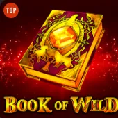 Book of Wild