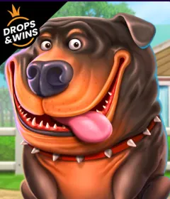 Dog House